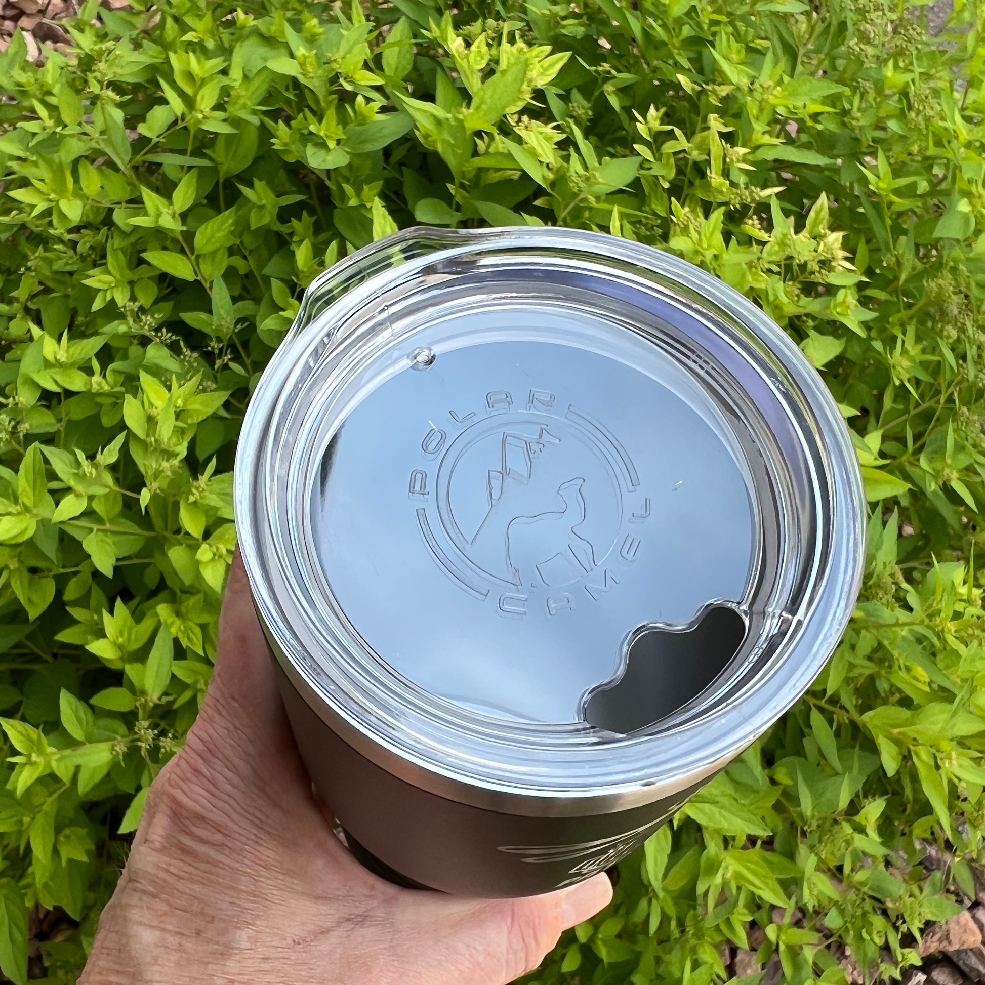 Hand holding a coffee cup with a visible brand logo against a green leafy background